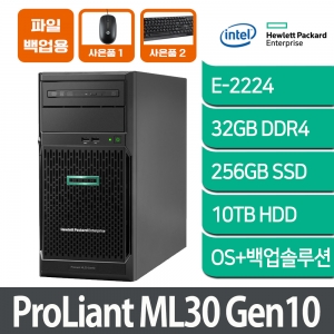 [백업서버 1] HPE ML30 Gen10 E-2224 1P 32G 256GB+10TB HDD + 백업솔루션 파일백업서버 24인치모니터포함
