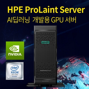 HPE ML350 Gen10 4210R 64GB RTX6000 8SFF Server AI딥러닝 개발용서버