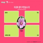 [감성쫑이] STEAM_감성쫑이의 스토리텔링 사회교실 5 - 우리나라 꽃 무궁화 (10묶음) / 우리나라 전통만들기